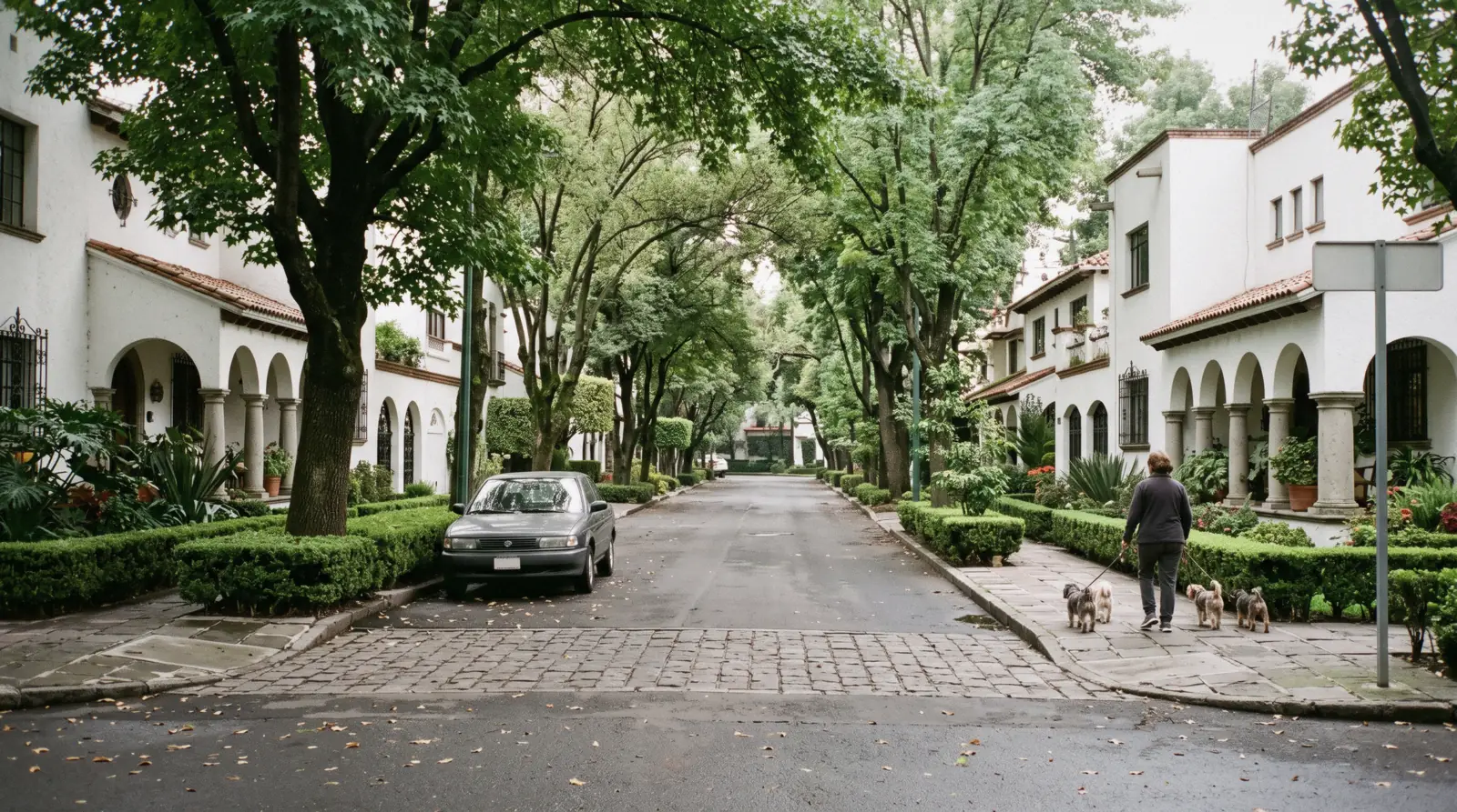 A quiet tree-lined residential street of modernist houses in Polanco, Mexico City
