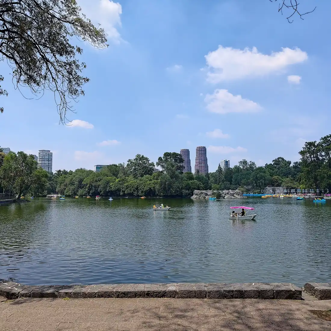 Rowing boats on the Chapultepec lake in Mexico City, the park that fills with families on Sundays